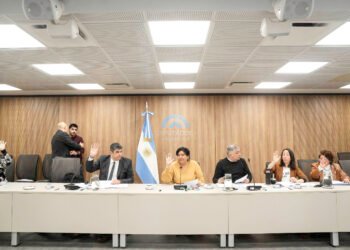 La Libertad Avanza revoca la designación de la responsable de la Defensoría del Niño y lanza un nuevo concurso