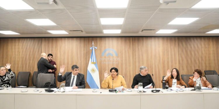 La Libertad Avanza revoca la designación de la responsable de la Defensoría del Niño y lanza un nuevo concurso