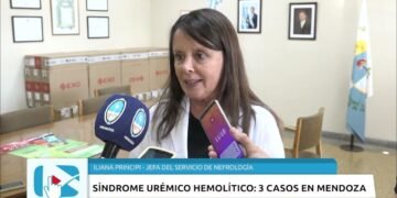 Disminución del Síndrome Urémico Hemolítico en Argentina en la Última Década