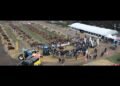 Innovador método de un productor para aumentar la capacidad reproductiva de las vacas
