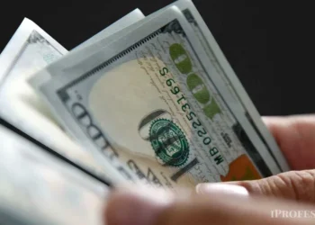 Alternativas al Plazo Fijo: 6 Cuentas Remuneradas en Dólares para 2026