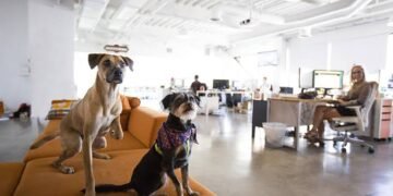 El Ascenso de la “Pet Economy”: Transformación Estructural y Nuevos Modelos de Negocio 2026