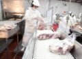 Cuota Hilton: diez frigoríficos concentran el 70% de un negocio de más de US$ 400 millones