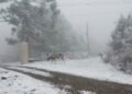 Se emite alerta amarilla por frío extremo en 11 provincias para este martes 7 de julio