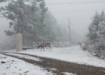 Se emite alerta amarilla por frío extremo en 11 provincias para este martes 7 de julio