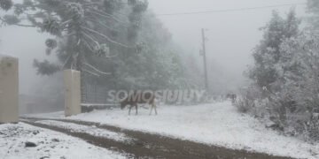 Se emite alerta amarilla por frío extremo en 11 provincias para este martes 7 de julio