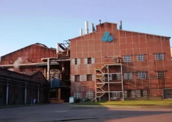 Ledesma acota sus pérdidas anuales apoyada en el agro y las exportaciones