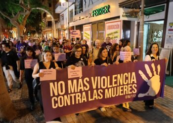Debate legislativo por falsas denuncias: una experta advierte que el proyecto podría desincentivar la denuncia de violencia de género