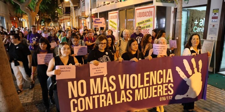 Debate legislativo por falsas denuncias: una experta advierte que el proyecto podría desincentivar la denuncia de violencia de género
