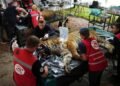 Traslado histórico: 30 felinos del exzoológico de Luján rumbo a santuarios internacionales