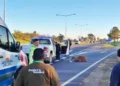 Lalo, el ciervo del Delta, se recuperó gracias a un esfuerzo colectivo