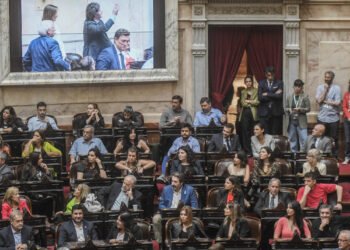 La oposición busca prorrogar hasta 2027 la emergencia nacional en discapacidad