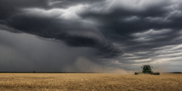 El impacto del riesgo climático en el sector agropecuario argentino