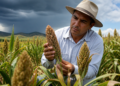 Revolucionando la agricultura: el uso de IA para crear un supercultivo resistente al clima
