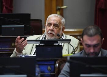 Claudia Cecilia López asumirá la banca de Juan Carlos Pagotto en el Senado tras su fallecimiento