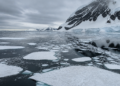 Disminución del hielo antártico: el anillo helado que rodea el continente se reduce cada vez más