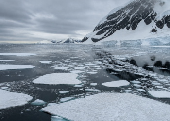 Disminución del hielo antártico: el anillo helado que rodea el continente se reduce cada vez más