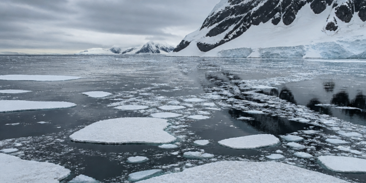 Disminución del hielo antártico: el anillo helado que rodea el continente se reduce cada vez más