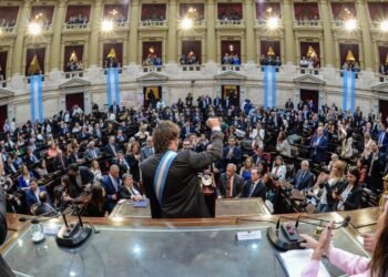 Milei accede a cambiar el presupuesto para avanzar con la nueva ley de discapacidad